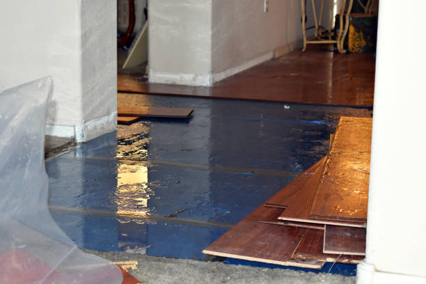 Professional Water Damage technician working in Livingston, IL